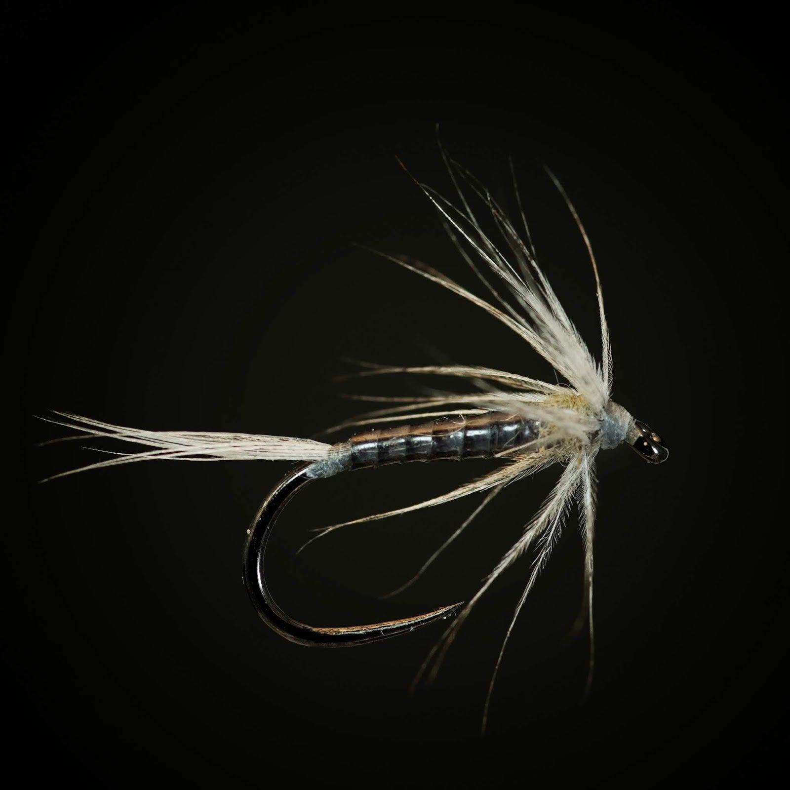Soft hackles and wet setups. Here's my favourite soft hackle.