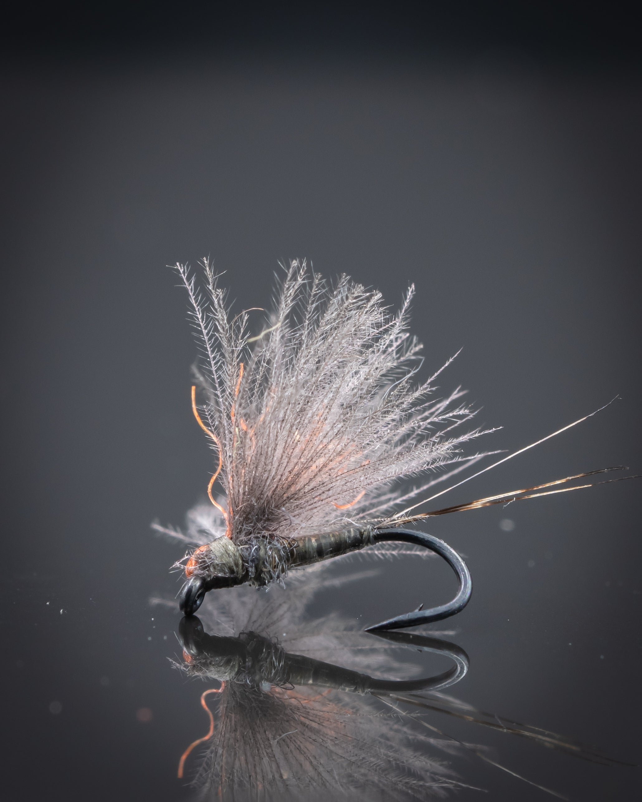 Antonio's Adult BWO – Page 2 – Fly Fish Food