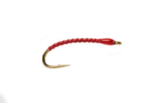 Boroff's Anneworm - Red – Fly Fish Food
