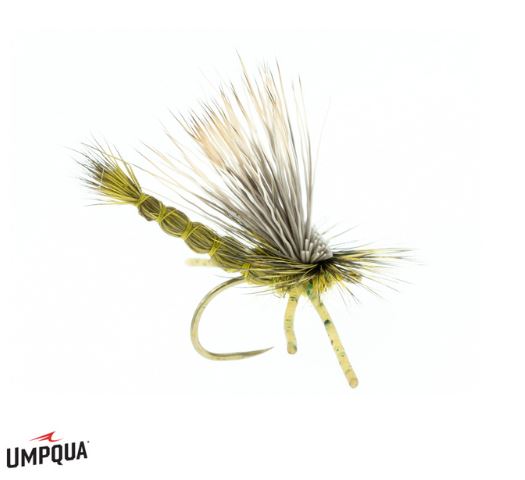 Two Bit hooker - Fly Fishing Nymph - Umpqua Feather Merchants