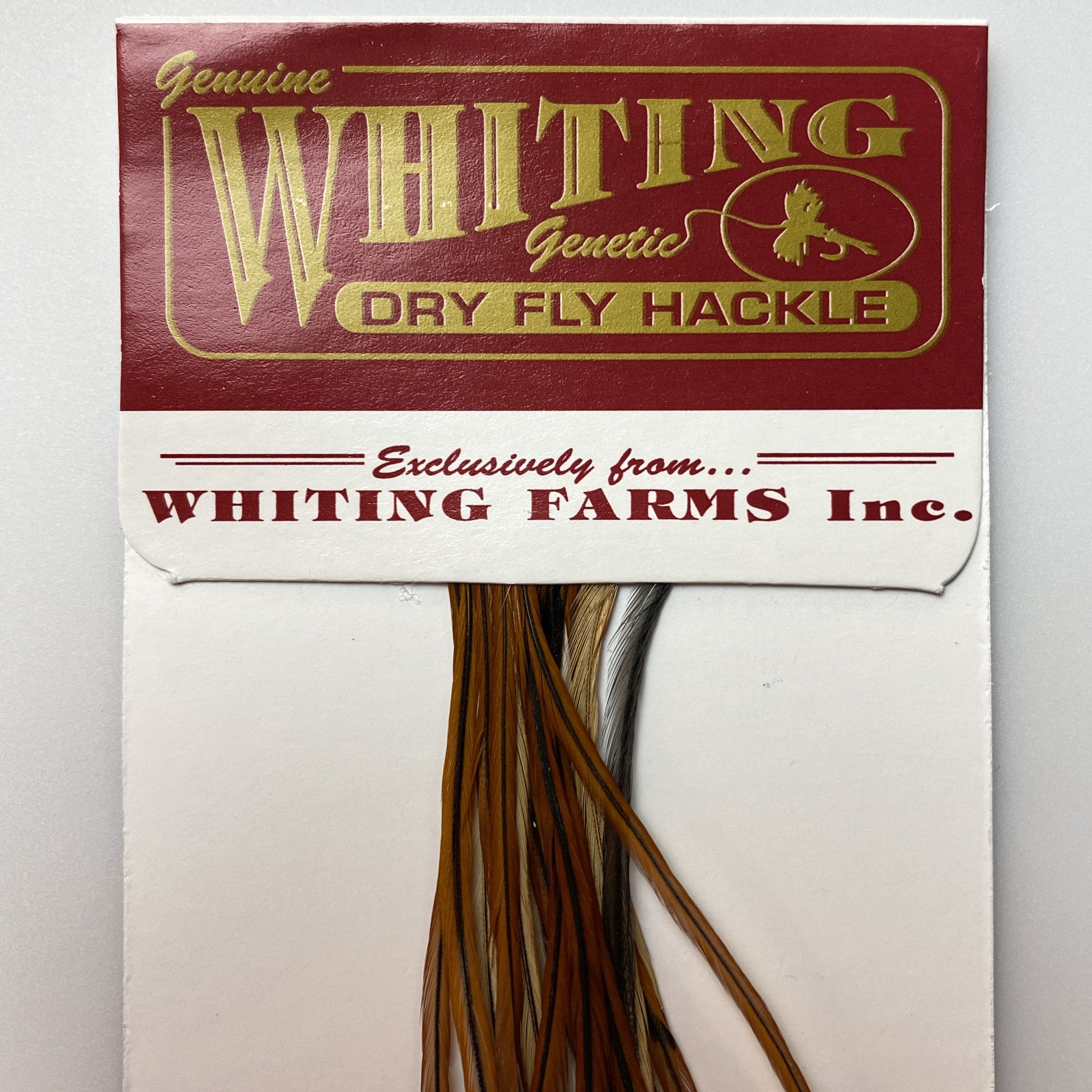 Whiting 100 Pack Dry Fly Saddle Hackle