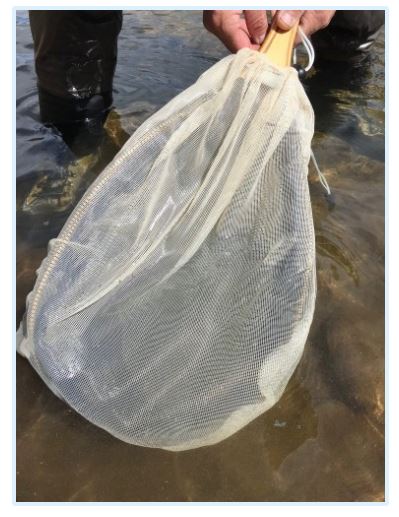 Wind River Gear Landing Net Seine – Fly Fish Food