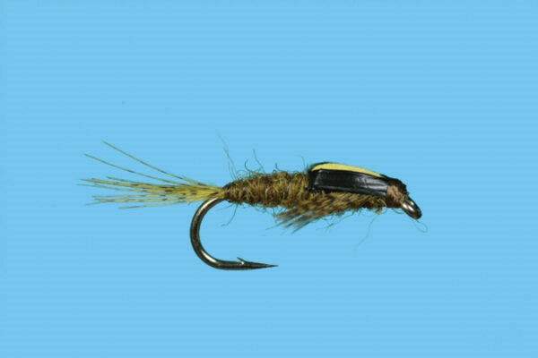 Split Case PMD Nymph – Fly Fish Food