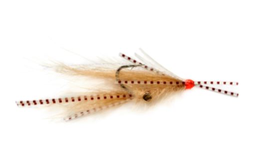 Bonefish Bug with Real Eyes – Fly Fish Food