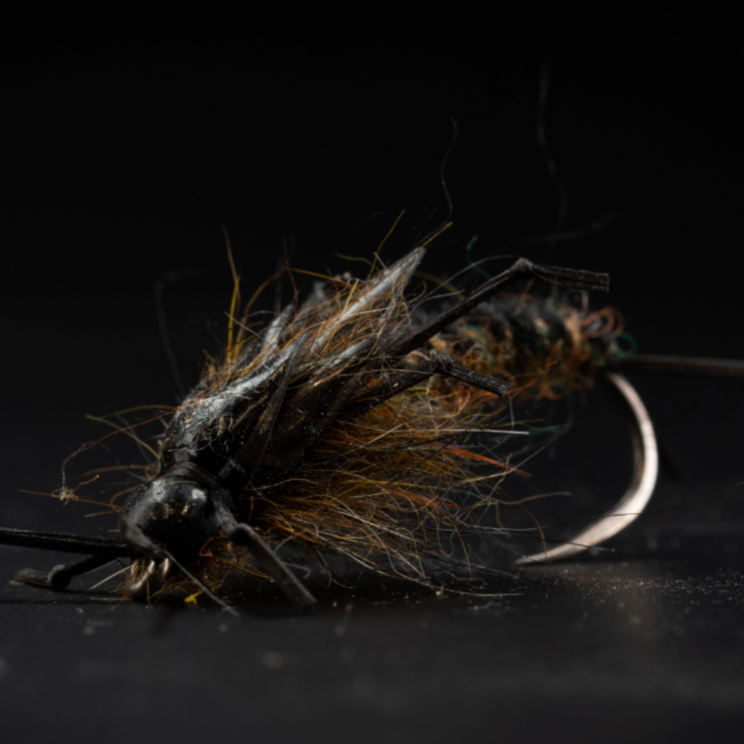 Woven Stonefly