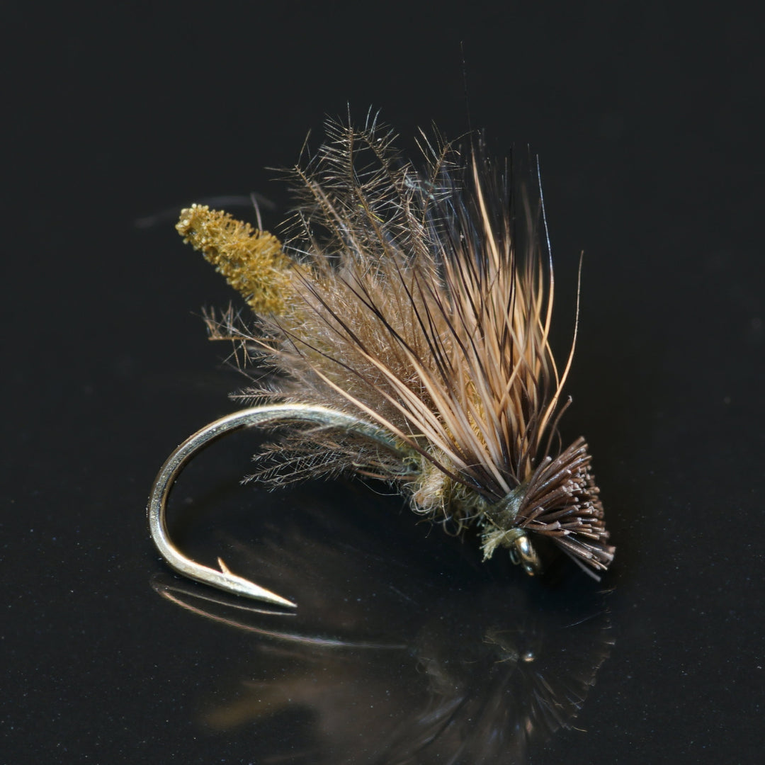 Caddis Flies