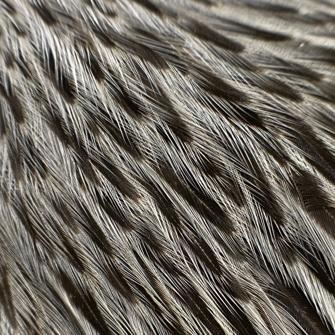 Soft Hackle Feathers