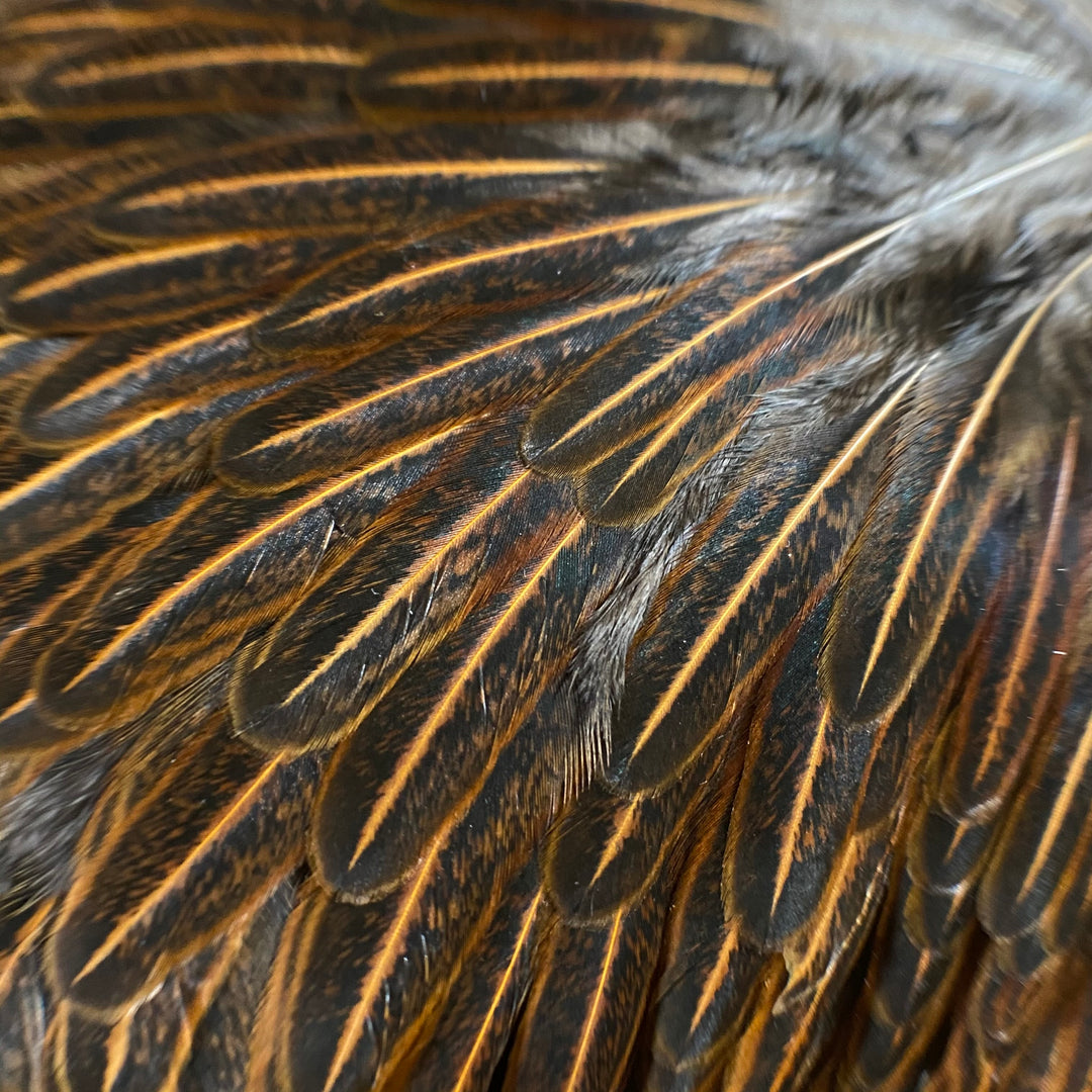 Hen Hackle