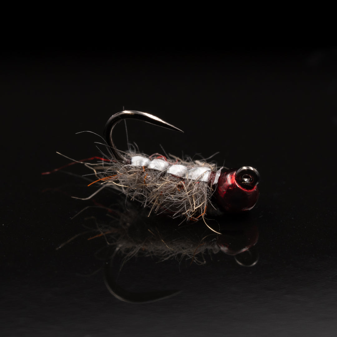 Jigged Garbage Sow Bug