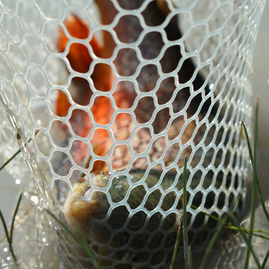 Replacement Net Bags