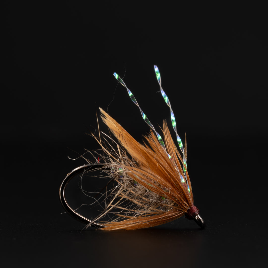 Sanchez's One Feather Soft Hackle