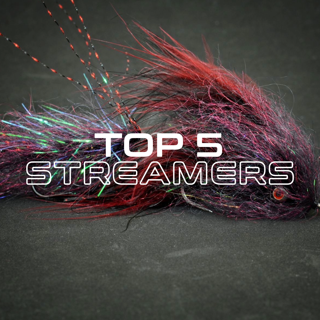 Top 5 Streamers