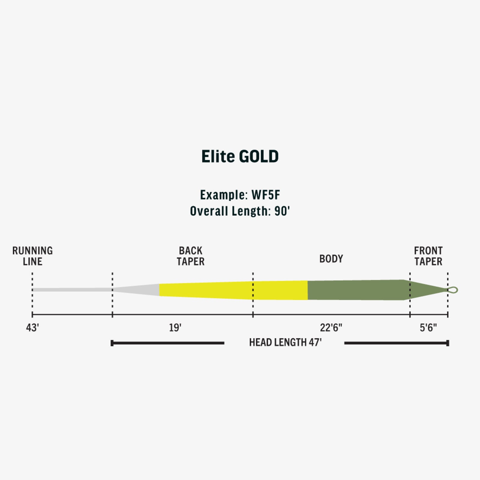 Rio Elite Gold - Slick Cast Fly Line - Moss/Gold/Gray