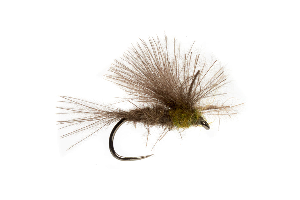 Elden's CDC BWO Emerger