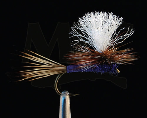 Carlson's Purple Haze (Poly Wing) – Fly Fish Food