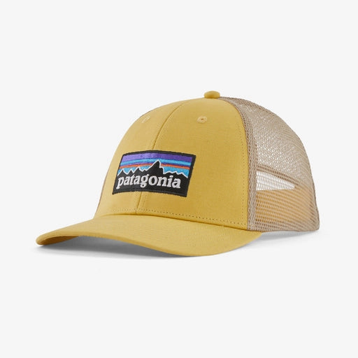 Patagonia P-6 LoPro Trucker Hat