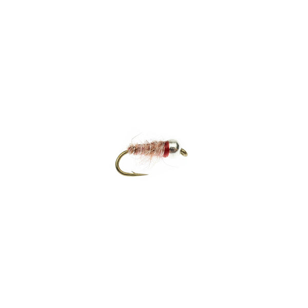 Tailwater Sow Bug 