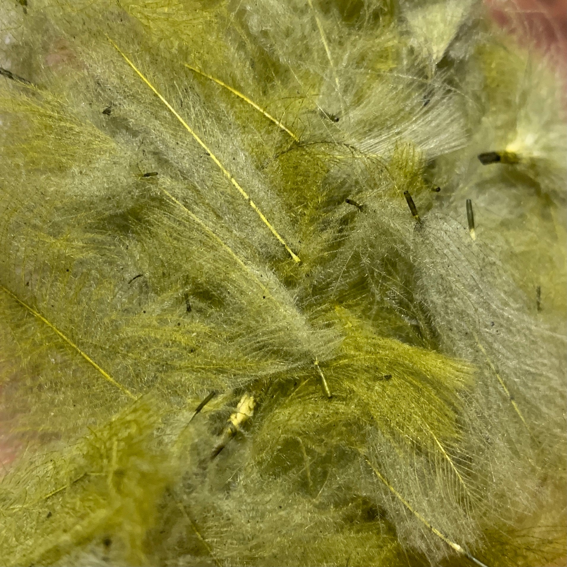 Swiss CDC 100% Natural Dyed Grade