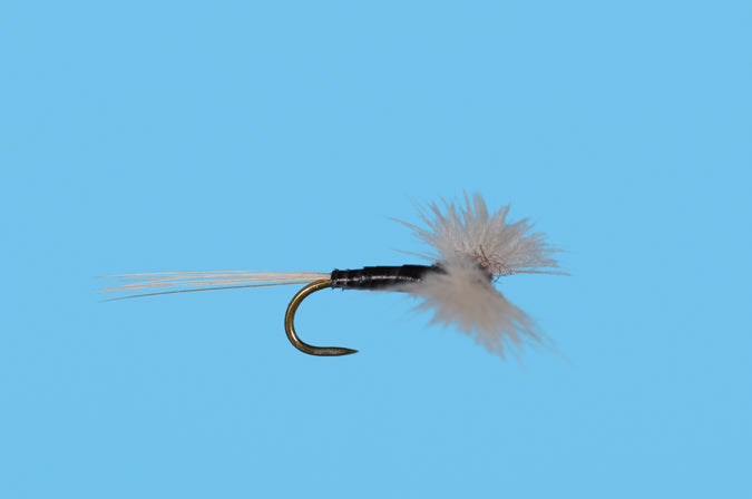 CDC Trico Spinner