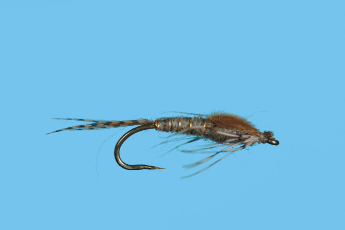 Harrop's Mayfly Nymph - Callibaetis