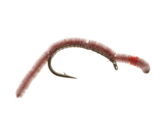 San Juan Worm - Worm Brown