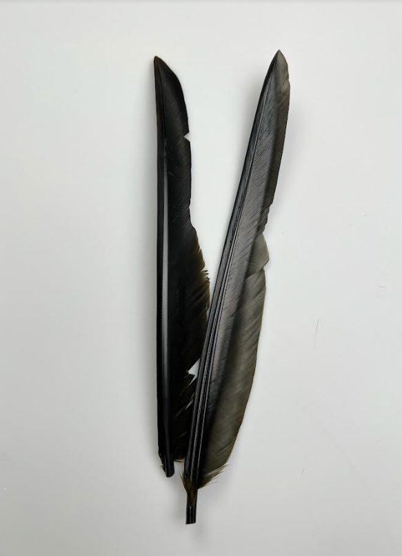 Canada Goose Biot Quills