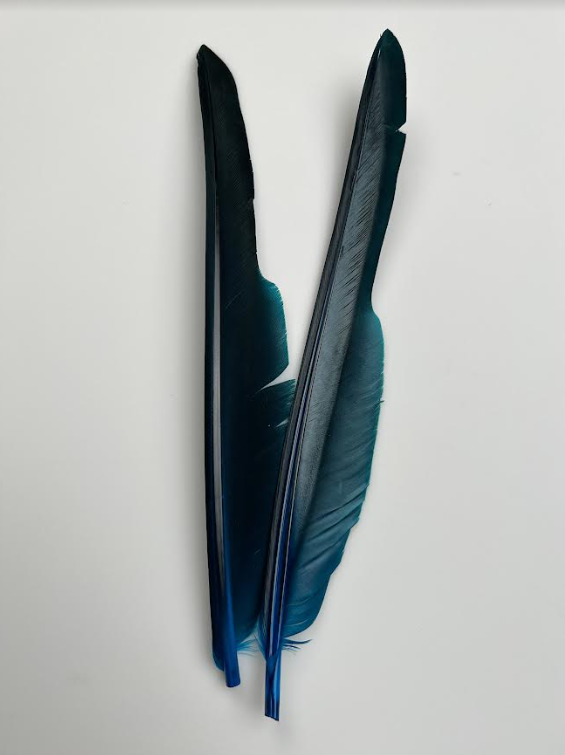 Canada Goose Biot Quills