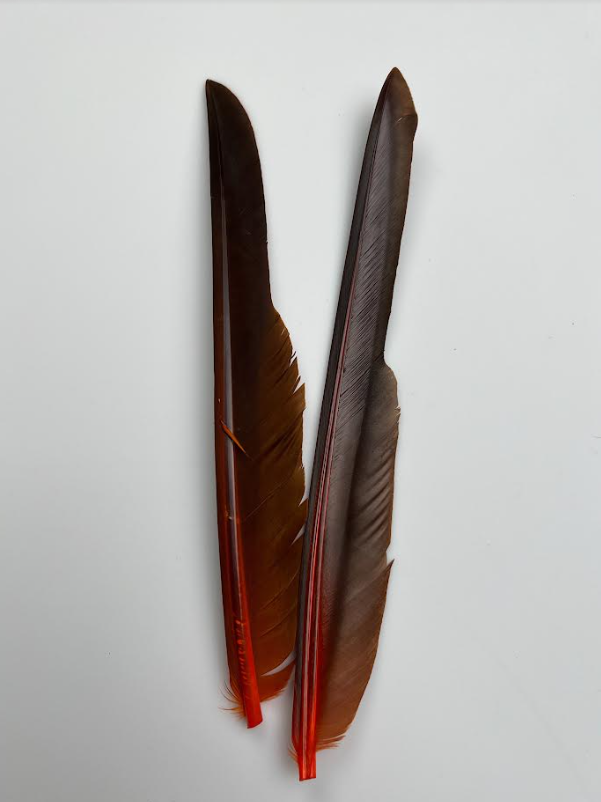 Canada Goose Biot Quills