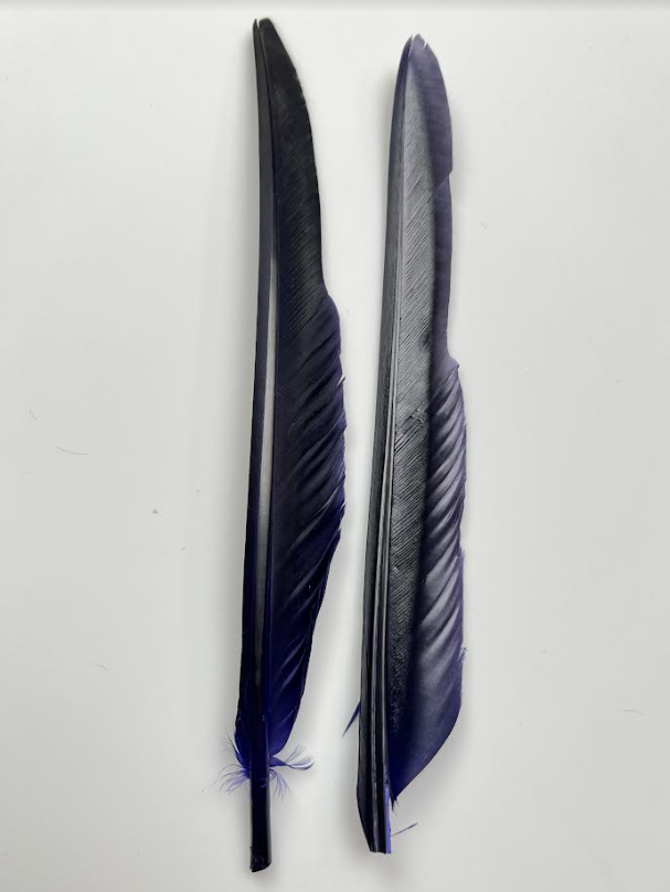 Canada Goose Biot Quills