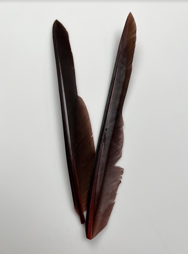 Canada Goose Biot Quills